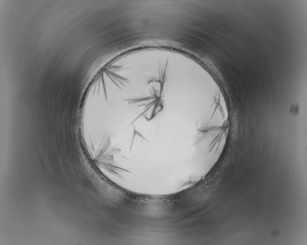 X0000111180895200908121109