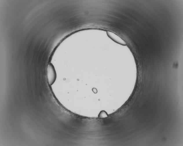 X0000111180896200908121109