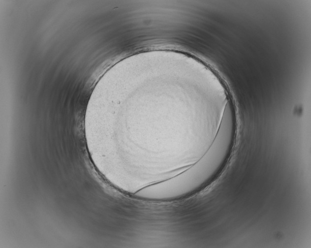 X0000111180897200908121109