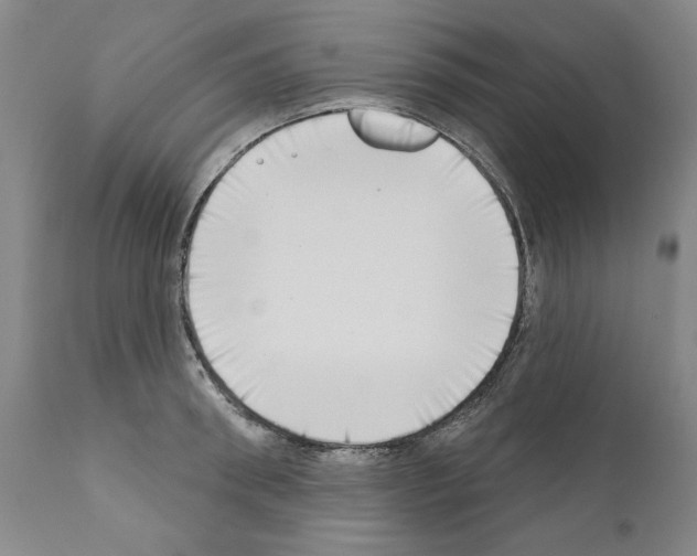 X0000111180898200908121108