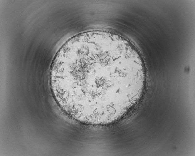 X0000111180899200908121108