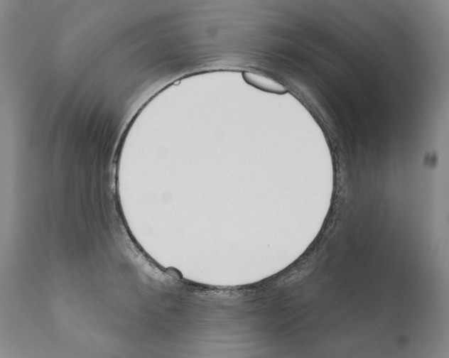 X0000111180900200908121108