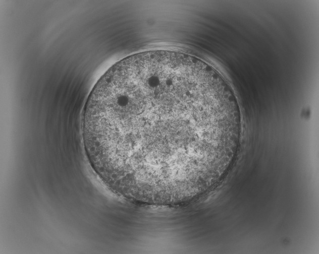 X0000111180907200908121108