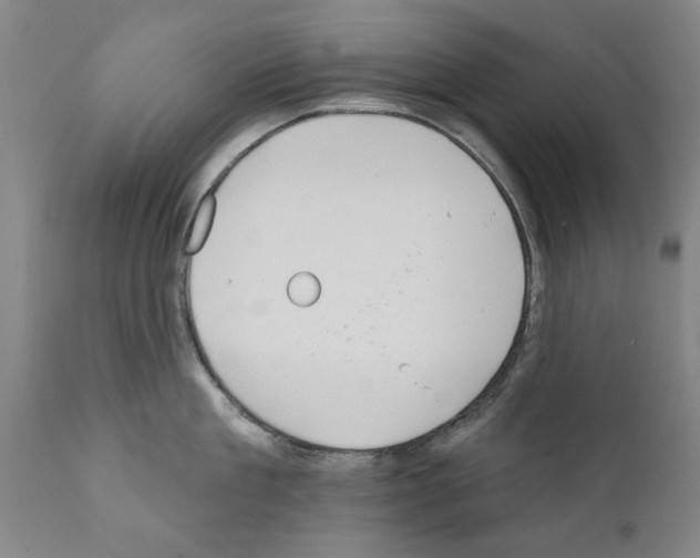 X0000111180909200908121108