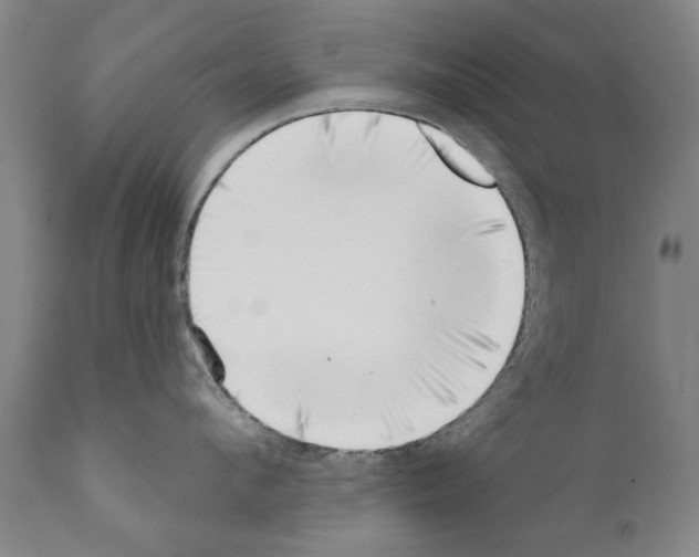 X0000111180912200908121108