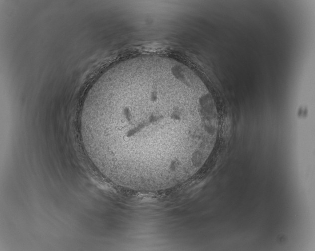 X0000111180913200908121108