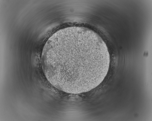 X0000111180918200908121108