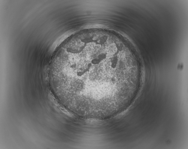 X0000111180921200908121108