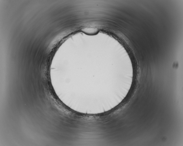 X0000111180922200908121108