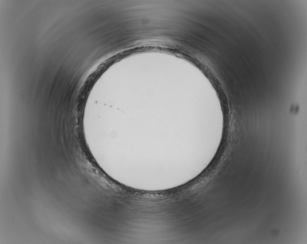 X0000111180923200908121108