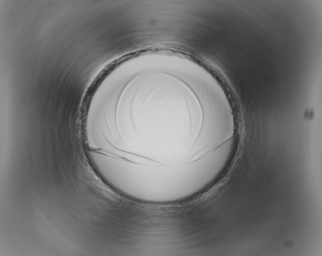 X0000111180924200908121108