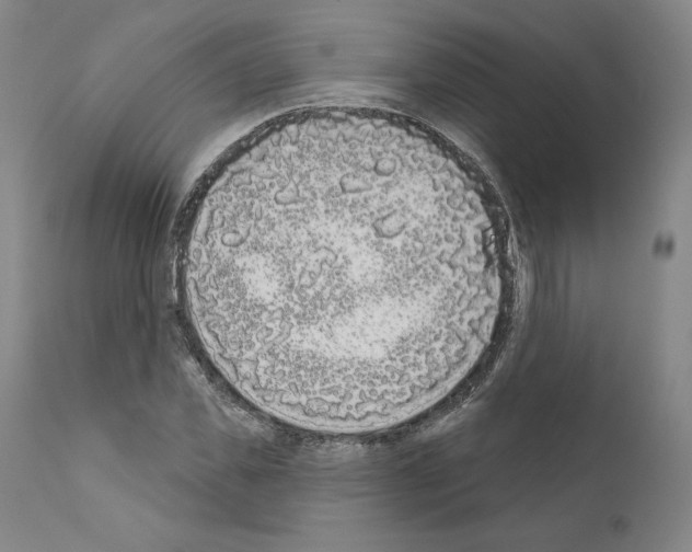 X0000111180925200908121108