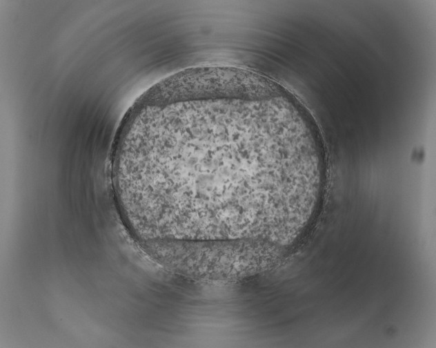 X0000111180928200908121108