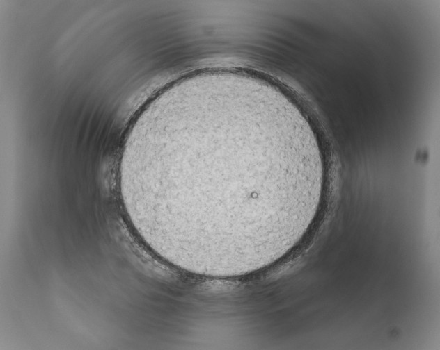 X0000111180929200908121108