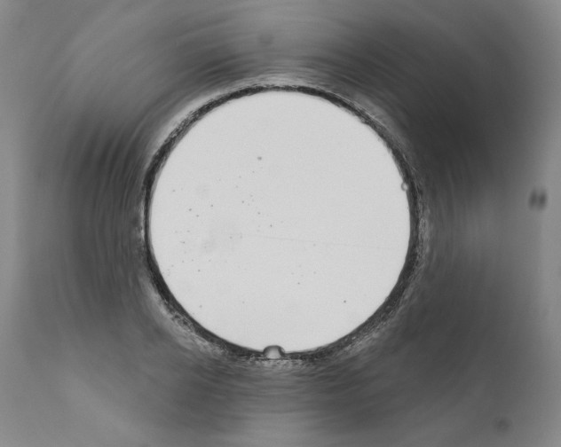 X0000111180934200908121108