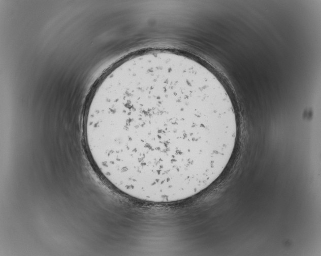 X0000111180935200908121108