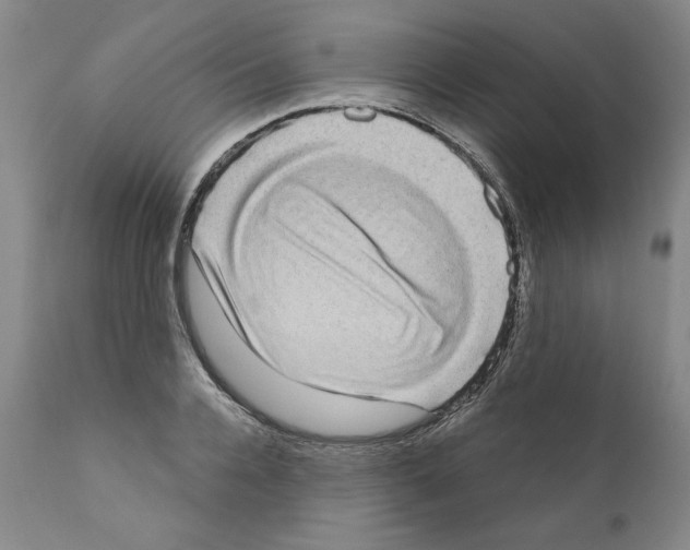 X0000111180936200908121108