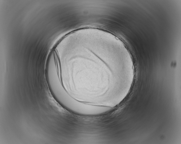 X0000111180940200908121108