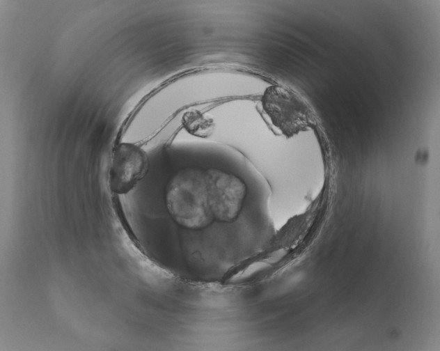 X0000111180941200908121108