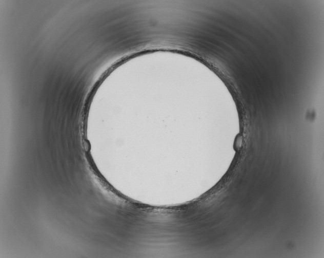 X0000111180942200908121108