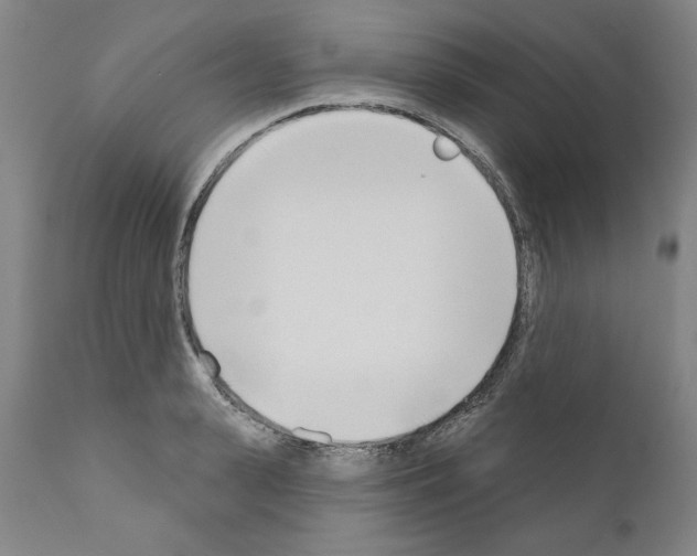 X0000111180943200908121108