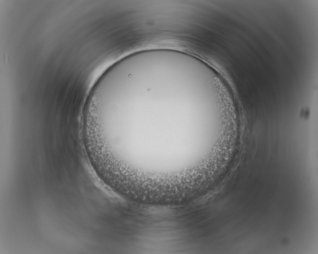 X0000111180944200908121108