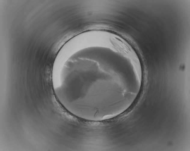 X0000111180945200908121108