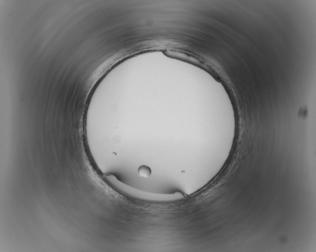 X0000111180946200908121108