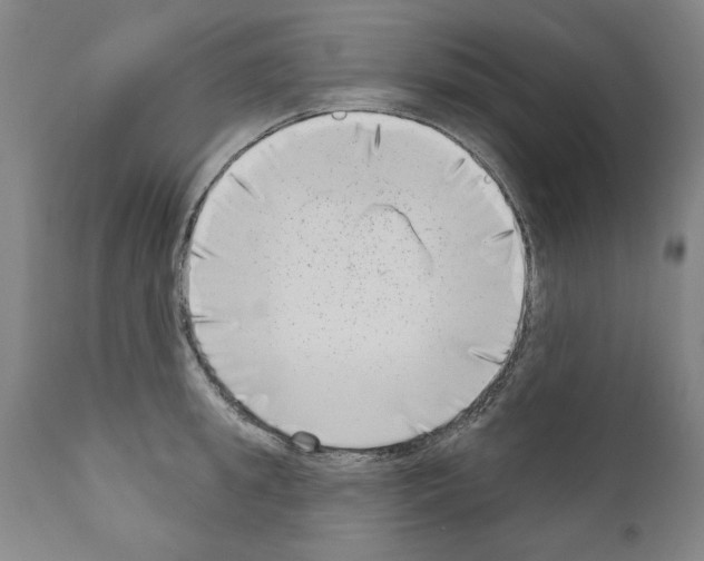 X0000111180949200908121108