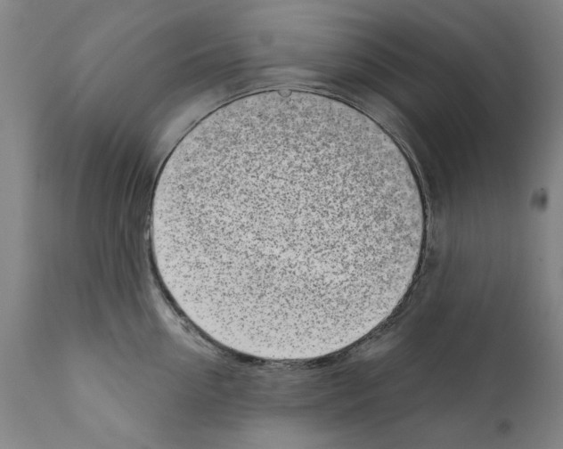 X0000111180954200908121108