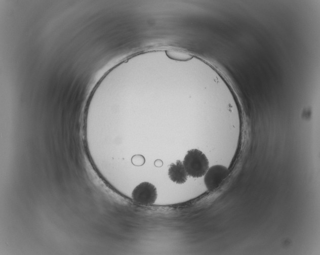 X0000111180957200908121108