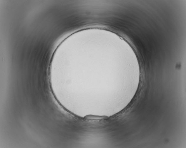 X0000111180959200908121108