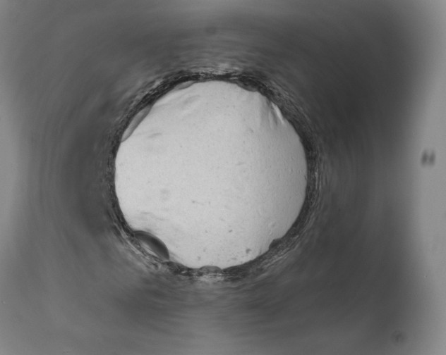 X0000111180961200908121108