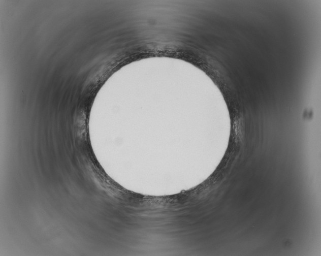 X0000111180963200908121108