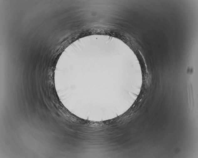 X0000111180964200908121108