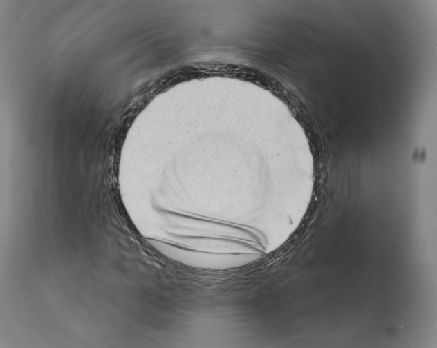 X0000111180965200908121108