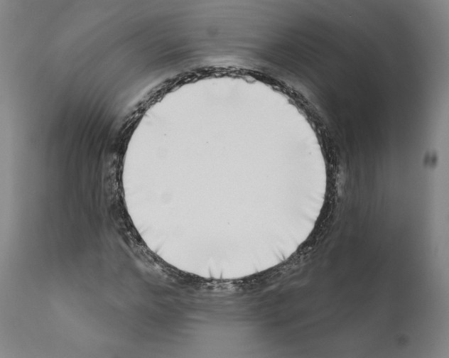 X0000111180968200908121108