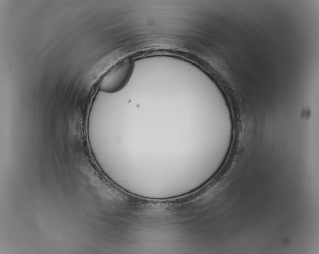 X0000111180969200908121108