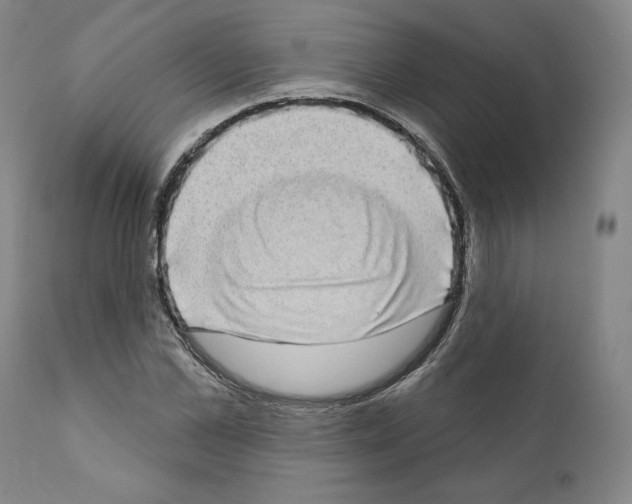 X0000111180973200908121107