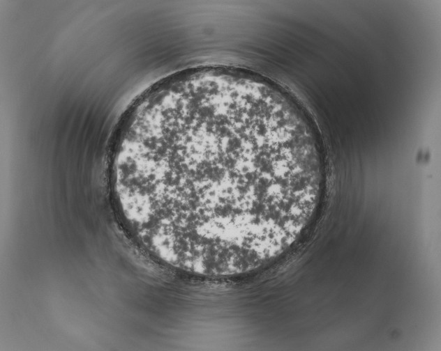 X0000111180975200908121107