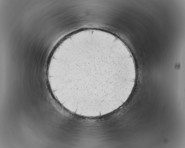 X0000111180976200908121107