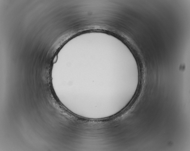 X0000111180977200908121107