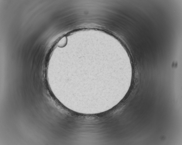 X0000111180979200908121107