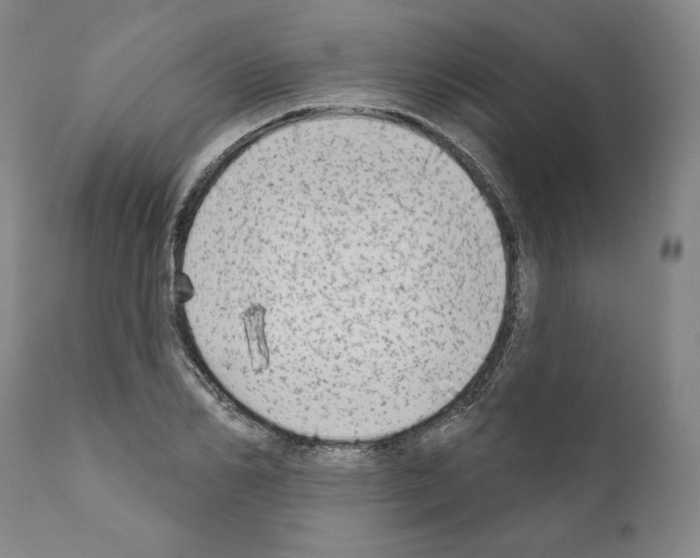 X0000111180982200908121107