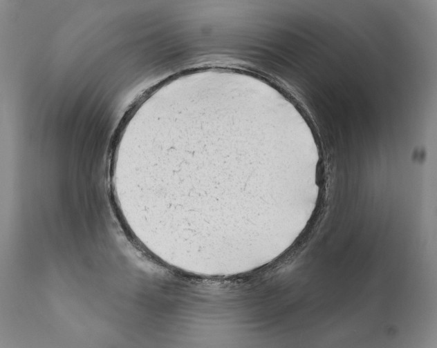 X0000111180987200908121107