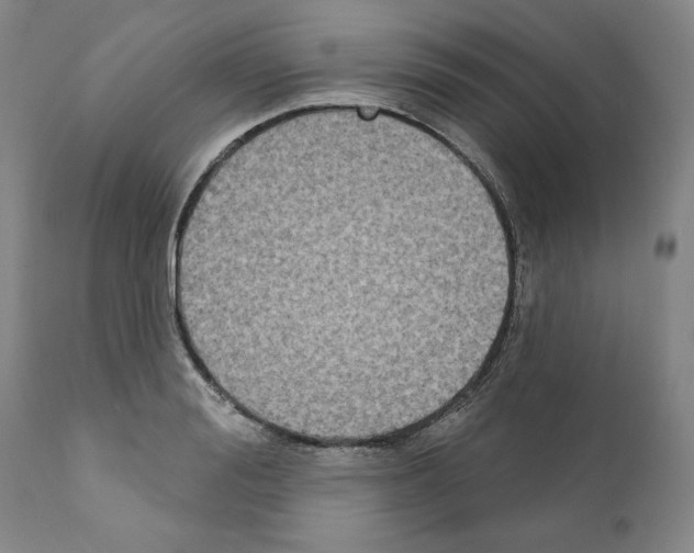 X0000111180988200908121107