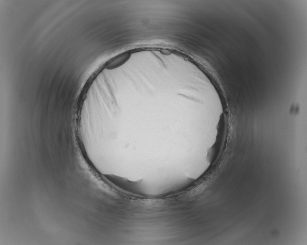 X0000111180989200908121107