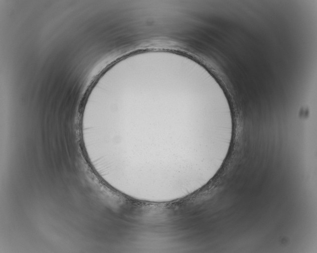 X0000111180990200908121107