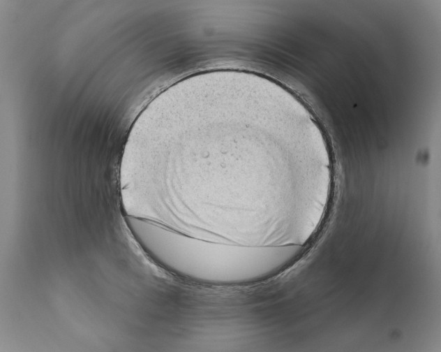 X0000111180993200908121107