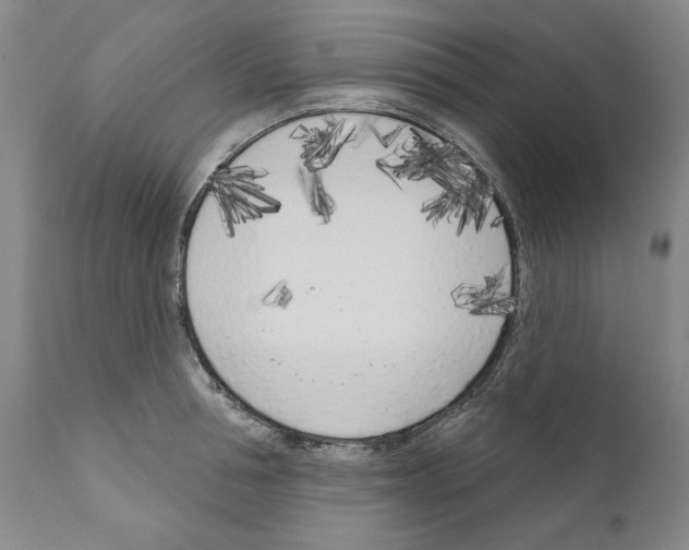 X0000111180994200908121107